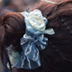 Image via Getty.